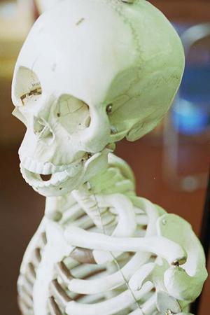 メスを使わずインプラント治療をする高崎の歯医者さん