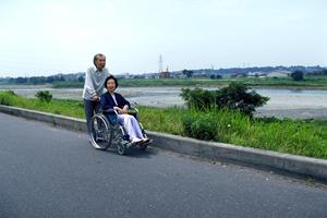 歴史が存在する漢方薬の八味地黄丸の魅力