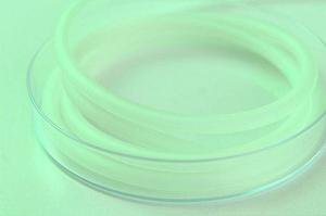 大阪でスムーズに行う幹細胞の治療