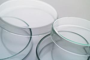 東京都内で乳がん検診が出来るクリニックといえば