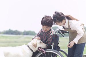 堺のインプラント治療を徹底解説！安全性・費用・アフターケアまでの完全ガイド