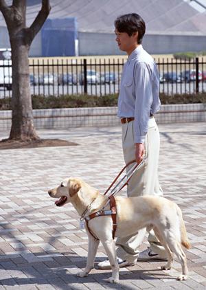 適切な咬合矯正の治療を受けられる福井の歯科