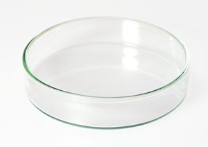 宮崎市の地域密着型の歯科クリニック