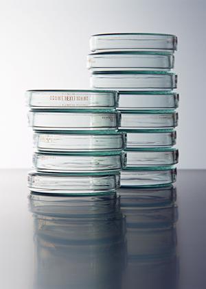 練馬区で経鼻内視鏡を受けたいなら